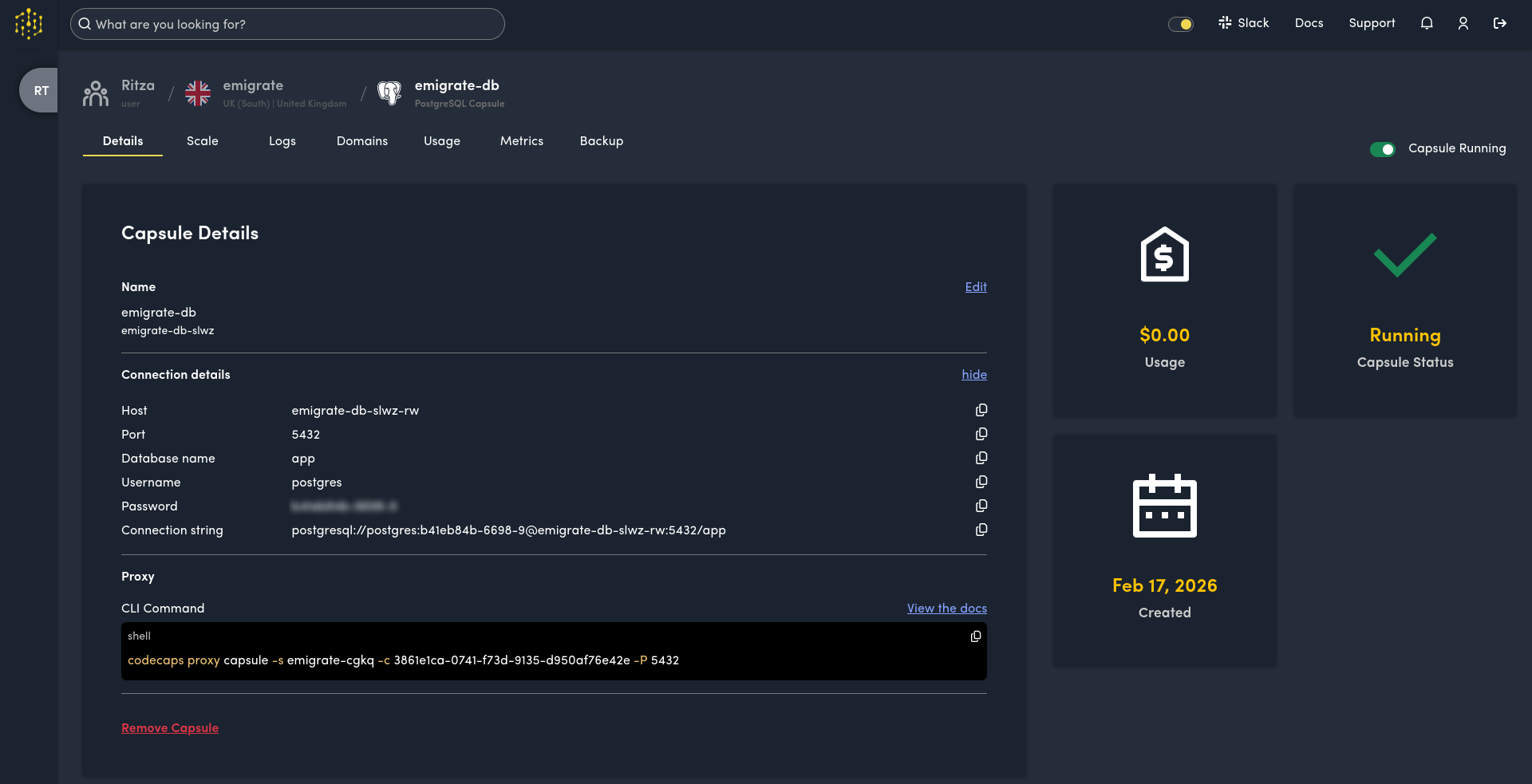 Code Capsules database setup