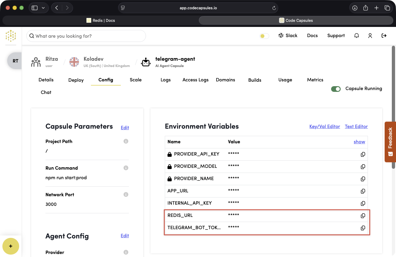 Telegram Agent Capsule Env Vars
