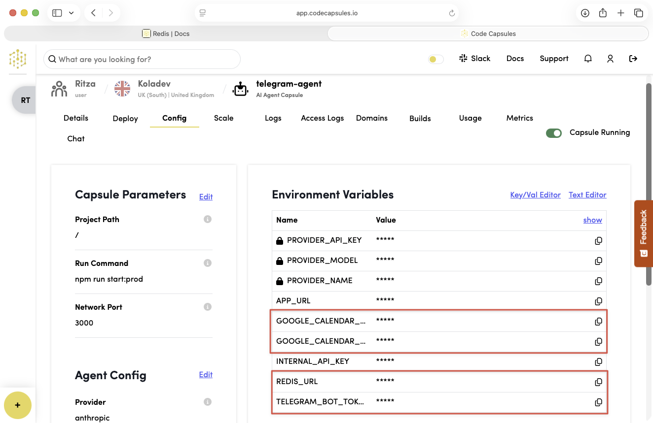 Telegram Agent Capsule Full Env Vars